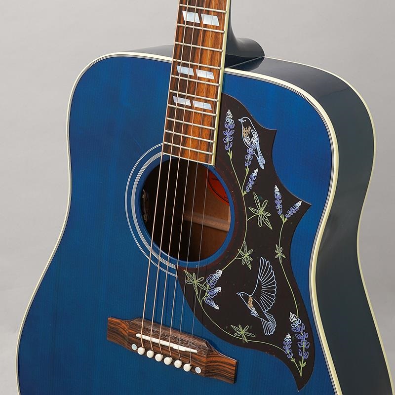 Gibson 【特価】【創業50周年大決算SALE】 Miranda Lambert Bluebird （傷アリ大特価） ギブソン 画像6