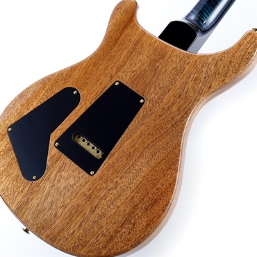 P.R.S. Ikebe 50th Anniversary Wood Library Special Semi-Hollow (Custom Color) SN.0401652 画像7