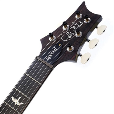 P.R.S. Ikebe 50th Anniversary Wood Library Special Semi-Hollow (Custom Color) SN.0401652 画像8