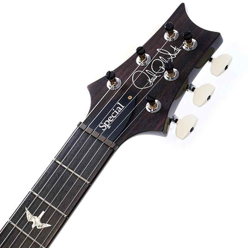 P.R.S. Ikebe 50th Anniversary Wood Library Special Semi-Hollow (Custom Color) SN.0401652 画像8