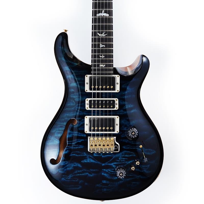 P.R.S. Ikebe 50th Anniversary Wood Library Special Semi-Hollow (Custom Color) SN.0401652 画像10