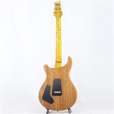 P.R.S. Ikebe 50th Anniversary Wood Library Special Semi-Hollow (Honey Gold) [SN.0401647] 画像2