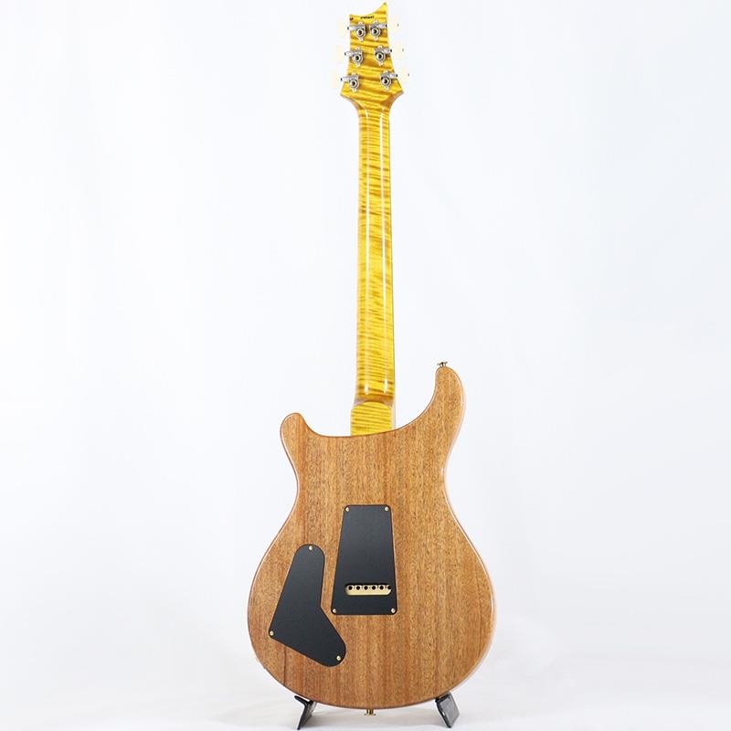 P.R.S. Ikebe 50th Anniversary Wood Library Special Semi-Hollow (Honey Gold) [SN.0401647] 画像2