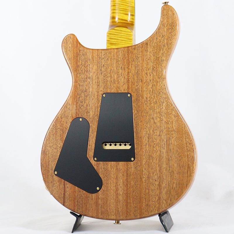 P.R.S. Ikebe 50th Anniversary Wood Library Special Semi-Hollow (Honey Gold) [SN.0401647] 画像3