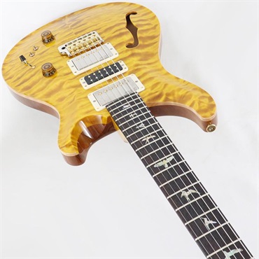 P.R.S. Ikebe 50th Anniversary Wood Library Special Semi-Hollow (Honey Gold) [SN.0401647] 画像4