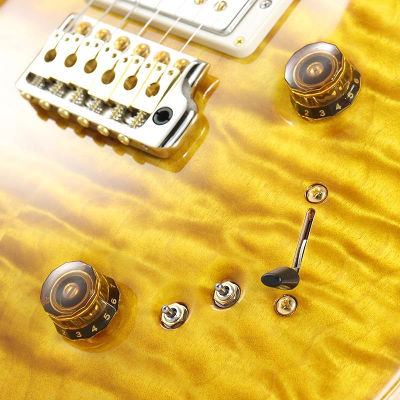 P.R.S. Ikebe 50th Anniversary Wood Library Special Semi-Hollow (Honey Gold) [SN.0401647] 画像5