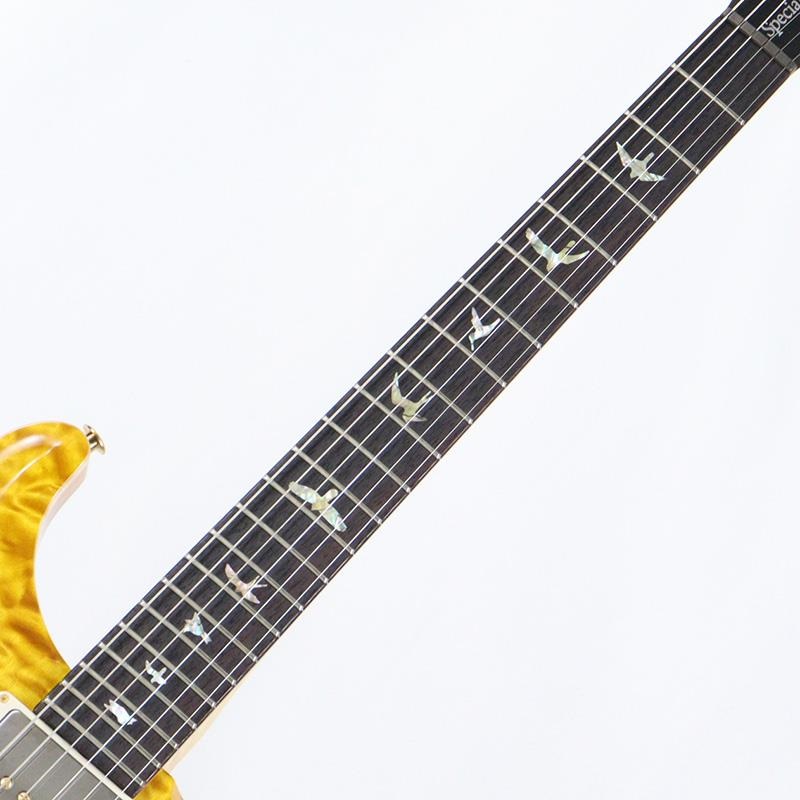P.R.S. Ikebe 50th Anniversary Wood Library Special Semi-Hollow (Honey Gold) [SN.0401647] 画像7