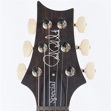 P.R.S. Ikebe 50th Anniversary Wood Library Special Semi-Hollow (Honey Gold) [SN.0401647] 画像9