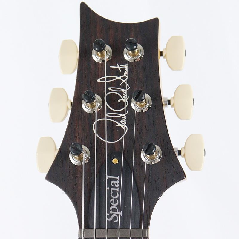 P.R.S. Ikebe 50th Anniversary Wood Library Special Semi-Hollow (Honey Gold) [SN.0401647] 画像9