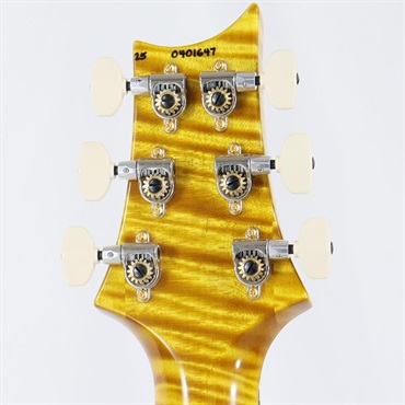 P.R.S. Ikebe 50th Anniversary Wood Library Special Semi-Hollow (Honey Gold) [SN.0401647] 画像10
