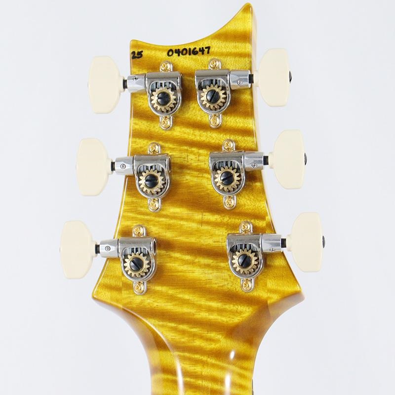 P.R.S. Ikebe 50th Anniversary Wood Library Special Semi-Hollow (Honey Gold) [SN.0401647] 画像10