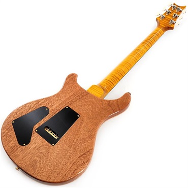 P.R.S. Ikebe 50th Anniversary Wood Library Special Semi-Hollow (Honey Gold) SN.0401646 画像2