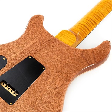 P.R.S. Ikebe 50th Anniversary Wood Library Special Semi-Hollow (Honey Gold) SN.0401646 画像5