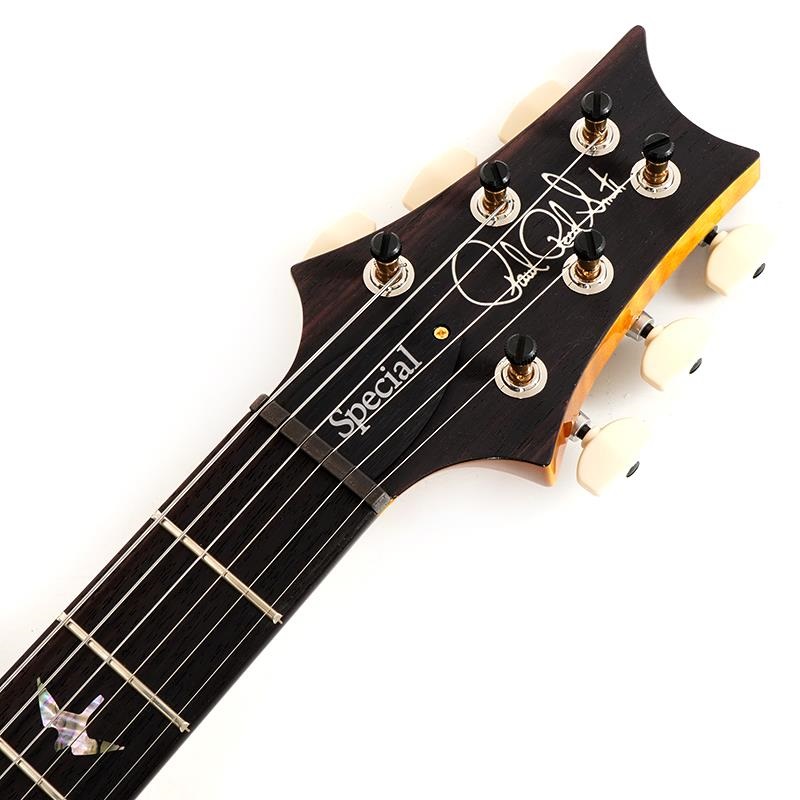 P.R.S. Ikebe 50th Anniversary Wood Library Special Semi-Hollow (Honey Gold) SN.0401646 画像6