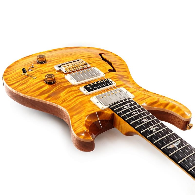P.R.S. Ikebe 50th Anniversary Wood Library Special Semi-Hollow (Honey Gold) SN.0401646 画像8
