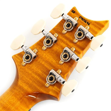 P.R.S. Ikebe 50th Anniversary Wood Library Special Semi-Hollow (Honey Gold) SN.0401646 画像9