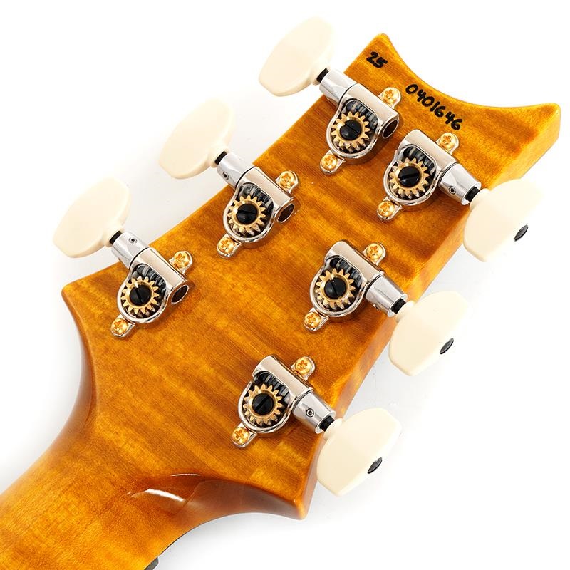 P.R.S. Ikebe 50th Anniversary Wood Library Special Semi-Hollow (Honey Gold) SN.0401646 画像9