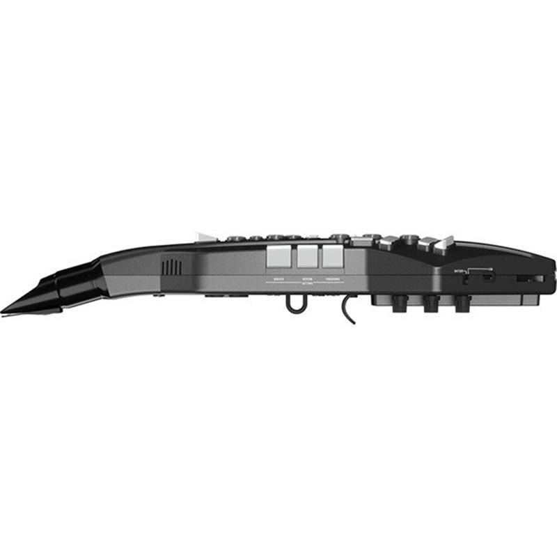 Roland 【創業50周年大決算SALE】【箱ボロ特価】ローランド Aerophone AE-05 画像2