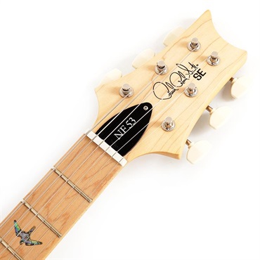 P.R.S. SE NF 53 (Black Doghair) 画像6