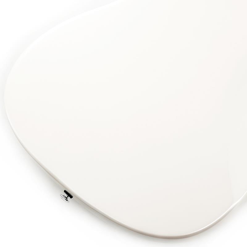 P.R.S. SE NF 53 (Pearl White) 画像7