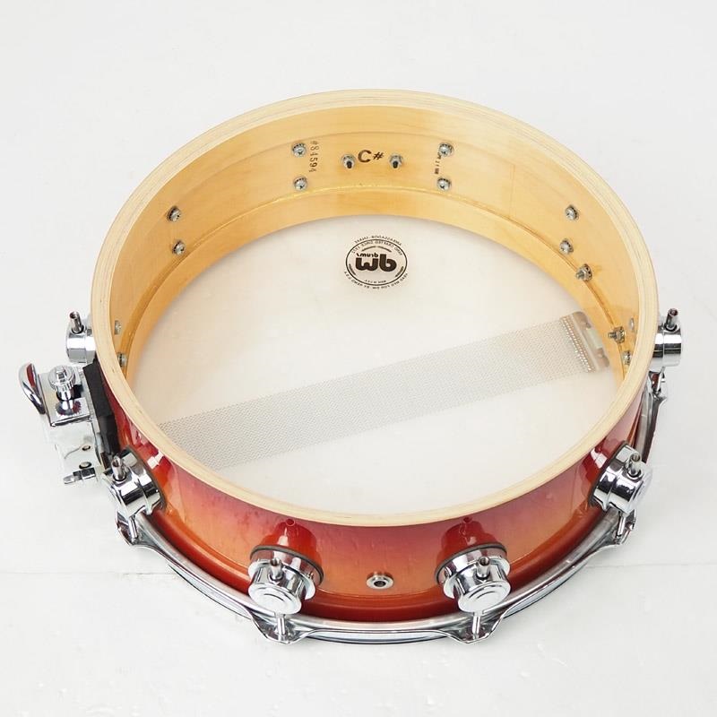 dw USED 中古 1998's Collector's Maple Snare Drum 14×5 画像8