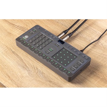 AlphaTheta TORAIZ CHORDCAT（コードキャット）【予約商品 / 7月17日発売予定】 画像4