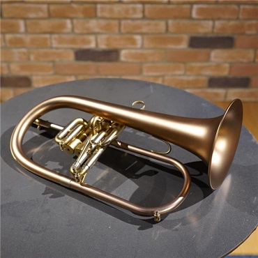 Brasspire ブラスパイア / 933 2b DML 【Bb フリューゲル ホルン】【出荷前調整で安心】 画像8