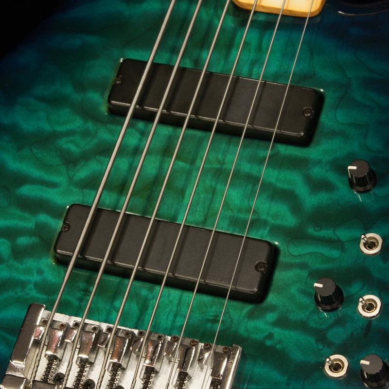 JAMES TYLER USED 中古 6string Bass 画像2