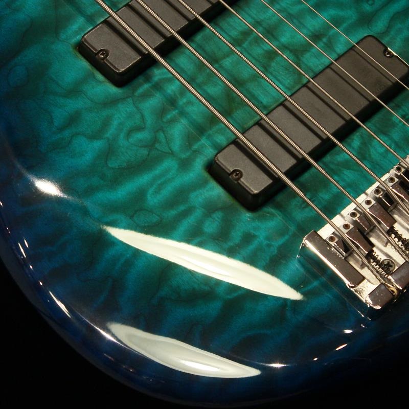 JAMES TYLER USED 中古 6string Bass 画像3