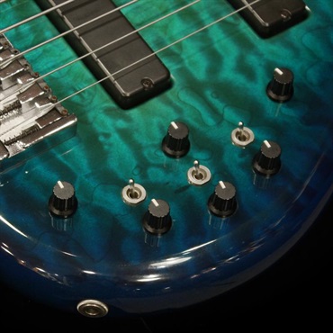 JAMES TYLER USED 中古 6string Bass 画像4