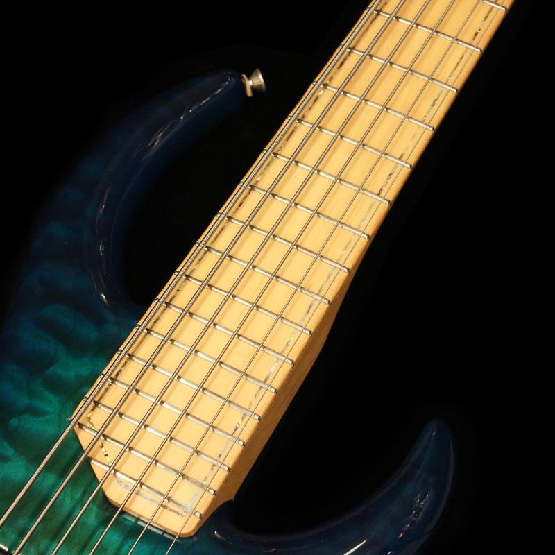 JAMES TYLER USED 中古 6string Bass 画像5