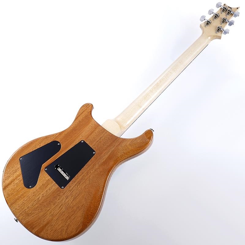 P.R.S. Custom24 Floyd 10top (Carrol Blue) SN.0371119 画像2