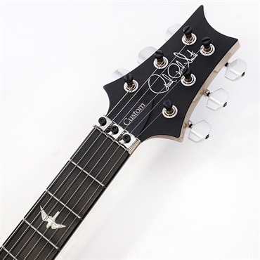 P.R.S. Custom24 Floyd 10top (Carrol Blue) SN.0371119 画像8