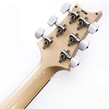 P.R.S. Custom24 Floyd 10top (Carrol Blue) SN.0371119 画像9