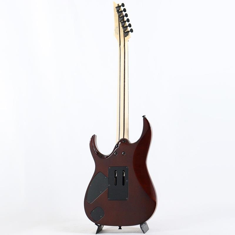 Ibanez j.custom Axe Design Lab RG8870-BSR (Brownish Sphalerite) [SPOT MODEL] 画像2
