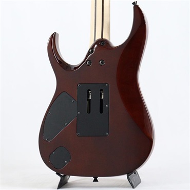 Ibanez j.custom Axe Design Lab RG8870-BSR (Brownish Sphalerite) [SPOT MODEL] 画像3