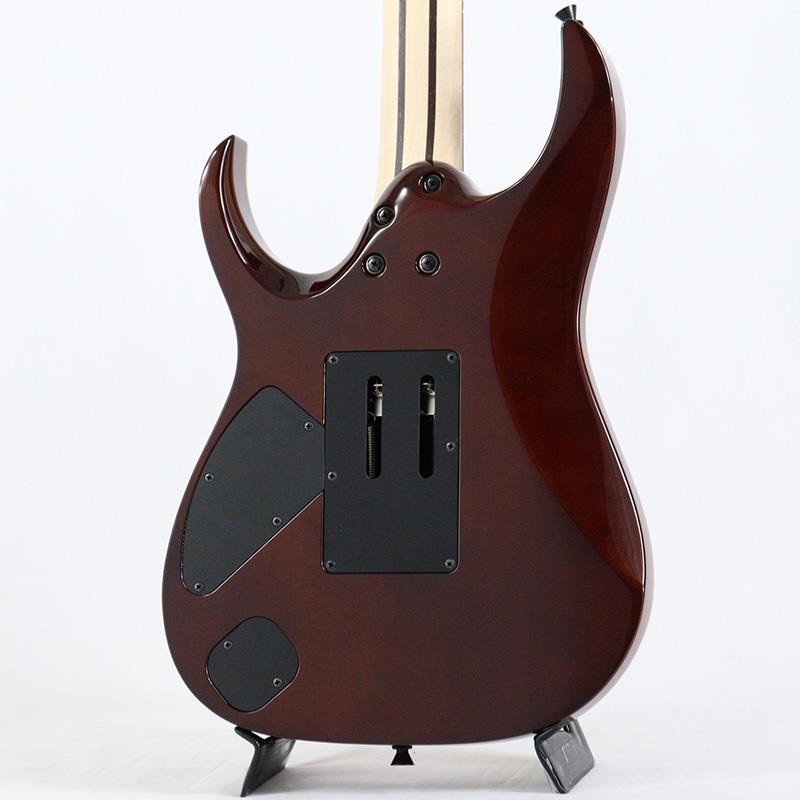 Ibanez j.custom Axe Design Lab RG8870-BSR (Brownish Sphalerite) [SPOT MODEL] 画像3
