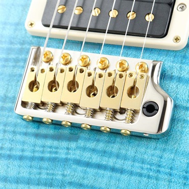P.R.S. Custom 24 10top (Carrol Blue) [SN.0372524] 【2023年生産モデル】 画像5