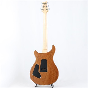 P.R.S. Custom 24 Floyd 10top (Carrol Blue) [SN.0371116] 【2023年生産モデル】 画像2