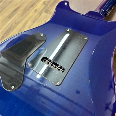 P.R.S. USED 中古 S2 Custom 24 59/09 Mod. (Lake Blue) ［SN.S2030646］ ポールリードスミス 画像10
