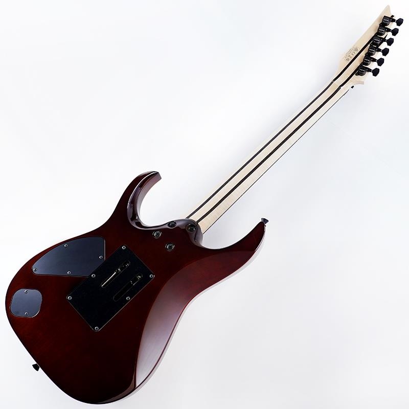 Ibanez j.custom Axe Design Lab RG8870-BSR (Brownish Sphalerite) [SPOT MODEL] SN.F2425793 画像2