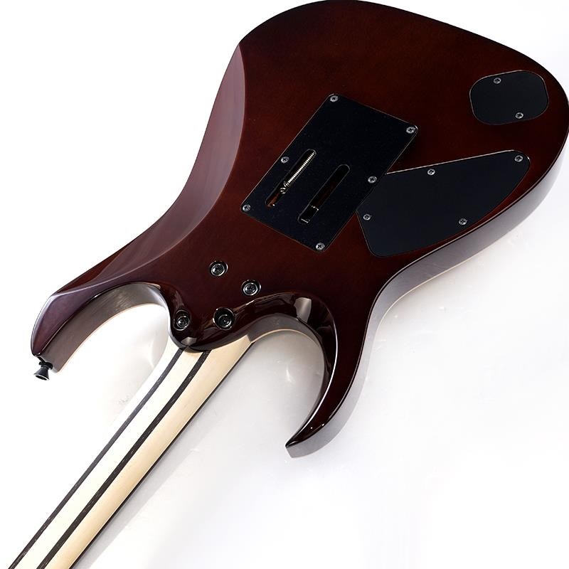 Ibanez j.custom Axe Design Lab RG8870-BSR (Brownish Sphalerite) [SPOT MODEL] SN.F2425793 画像6