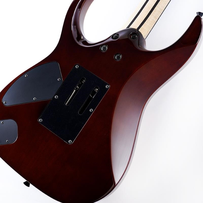 Ibanez j.custom Axe Design Lab RG8870-BSR (Brownish Sphalerite) [SPOT MODEL] SN.F2425793 画像7