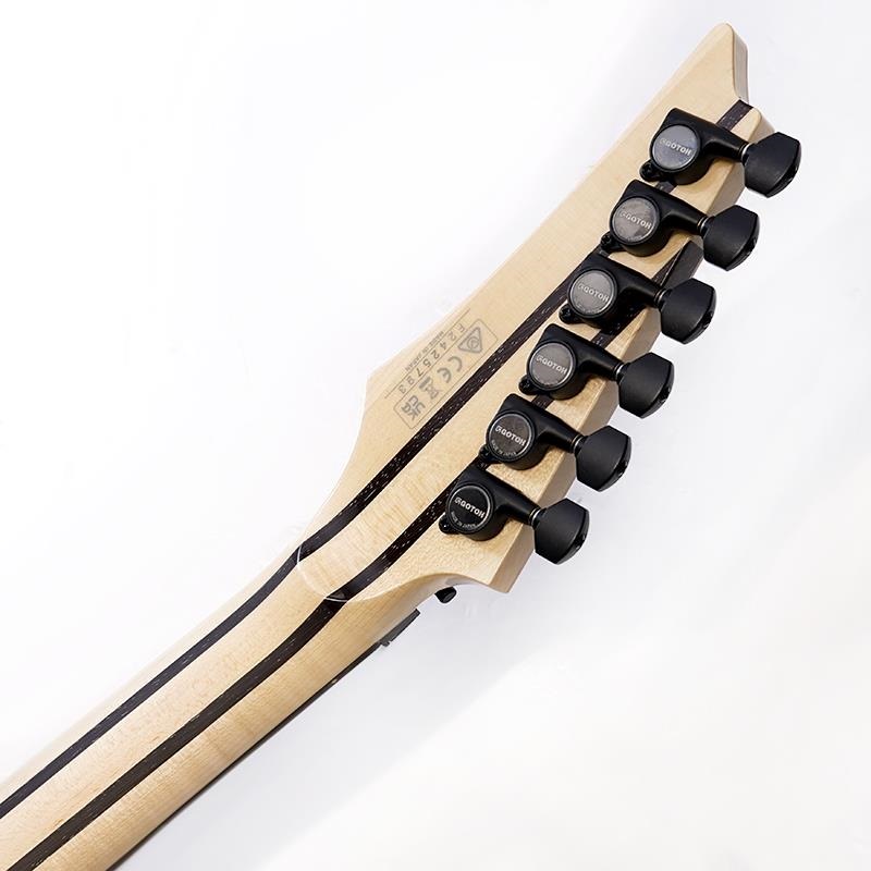Ibanez j.custom Axe Design Lab RG8870-BSR (Brownish Sphalerite) [SPOT MODEL] SN.F2425793 画像9