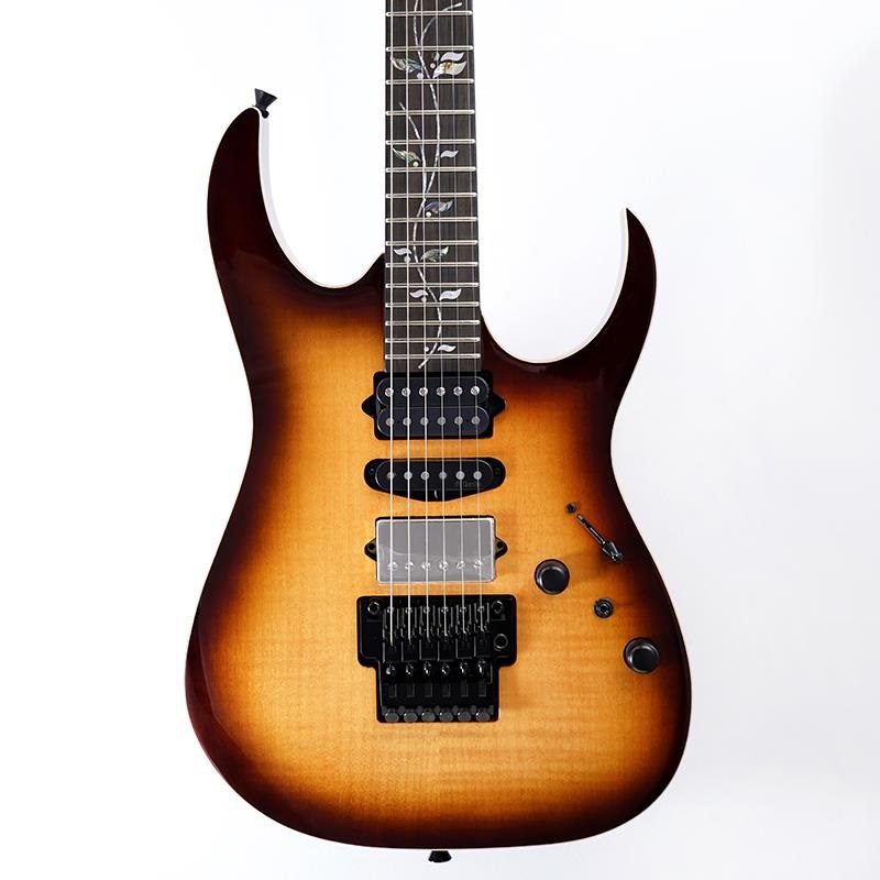 Ibanez j.custom Axe Design Lab RG8870-BSR (Brownish Sphalerite) [SPOT MODEL] SN.F2425793 画像10