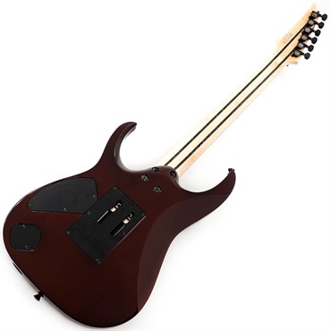 Ibanez j.custom Axe Design Lab RG8870-BSR (Brownish Sphalerite) [SPOT MODEL] 画像2