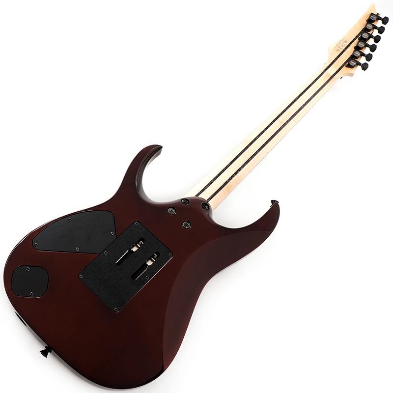 Ibanez j.custom Axe Design Lab RG8870-BSR (Brownish Sphalerite) [SPOT MODEL] 画像2