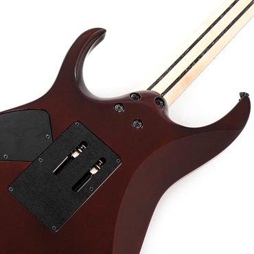 Ibanez j.custom Axe Design Lab RG8870-BSR (Brownish Sphalerite) [SPOT MODEL] 画像5