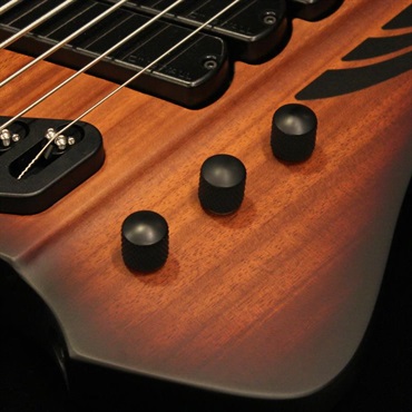 DINGWALL D-Roc Standard 5strings (Matte Vintageburst) 画像3