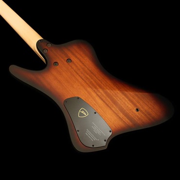 DINGWALL D-Roc Standard 5strings (Matte Vintageburst) 画像6